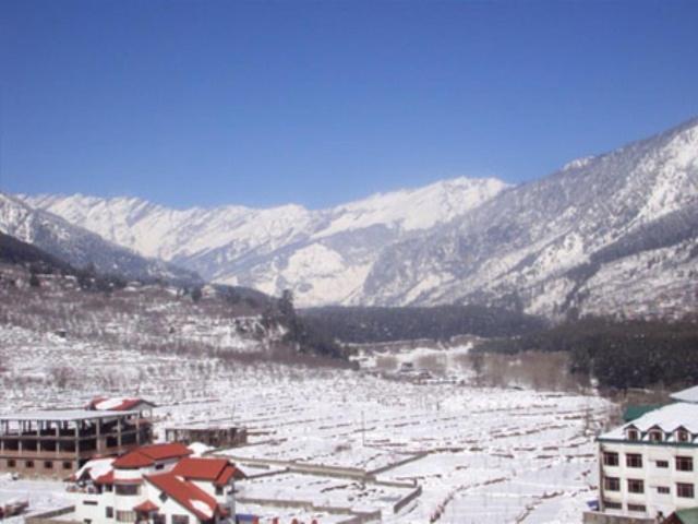 Hotel Daffodil Manali  Exterior photo